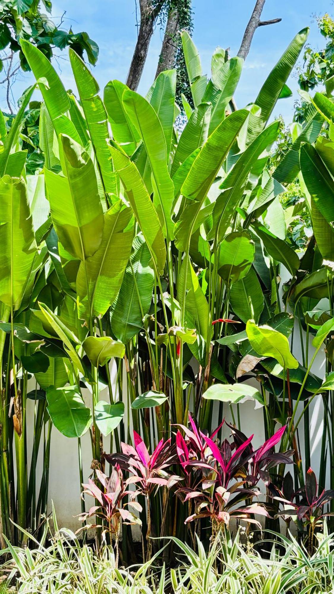 Mantra Wellness Center Hotell Uluwatu Eksteriør bilde